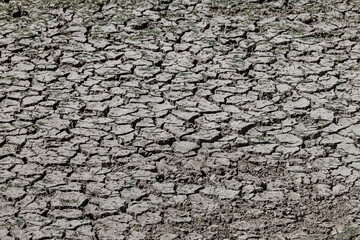 Dry cracked ground texture, drought, global warming concept
