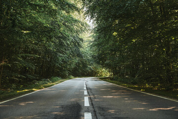 Landscape with empty asphalt road through woods in summer. Beautiful rural asphalt road scenery. Beautiful roadway. Trees with green foliage and sunny sky.