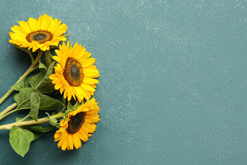 Beautiful sunflowers on green background