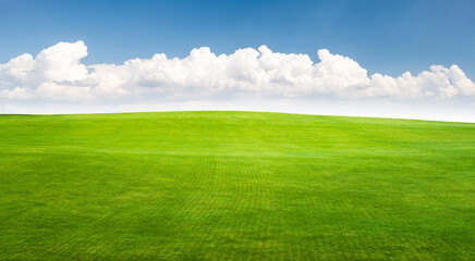Landscape with green grass field under a blue sky