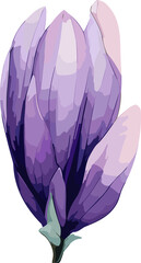 Watercolor Purple Flowers Clipart, Png transparent  Background