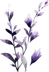 Watercolor Purple Flowers Clipart, Png transparent  Background