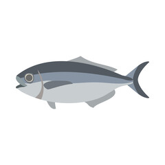 メダイ。フラットなベクターイラスト。 Japanese butterfish (Pacific barrelfish). Flat designed vector illustration. © nagamushi studio