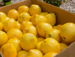 Lemons in a Box