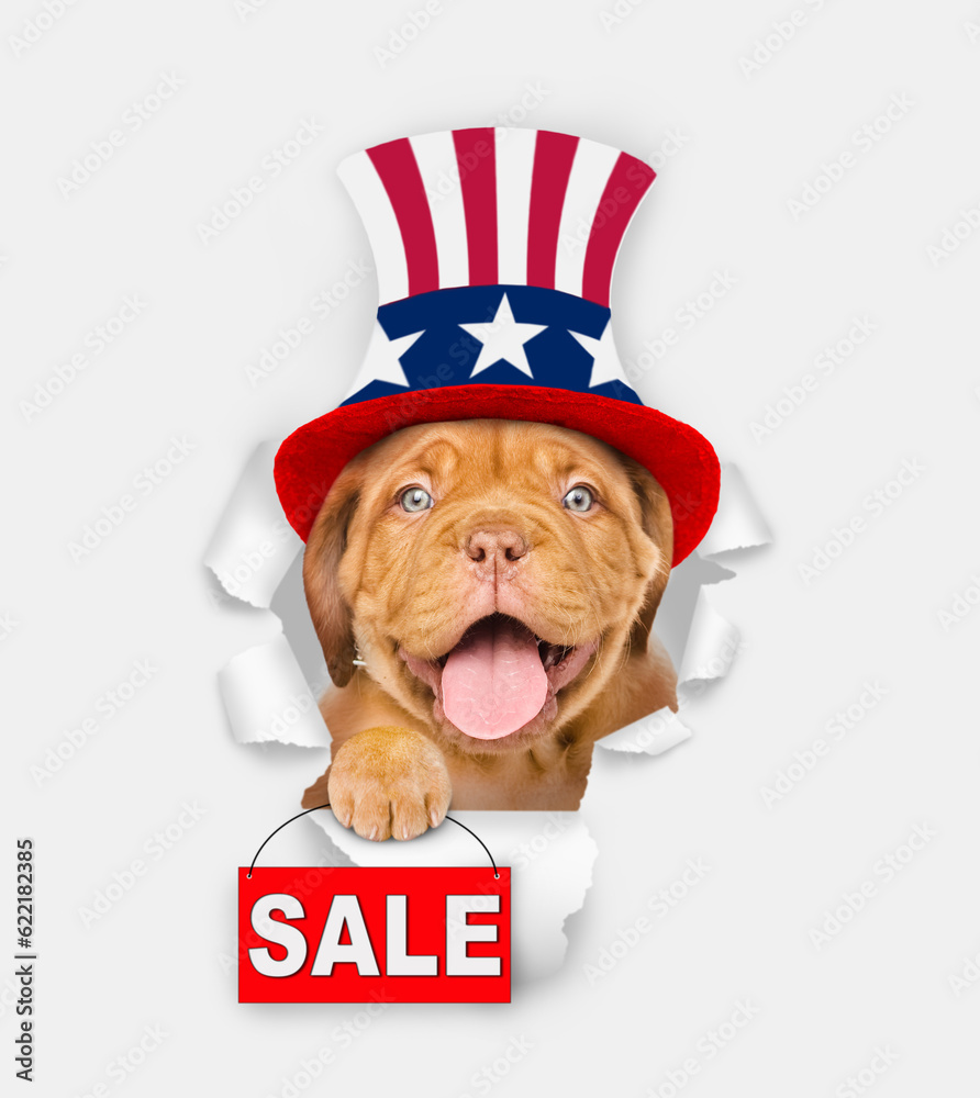 Poster happy mastiff puppy wearing like uncle sam looking through a hole in paper and shows signboard with 