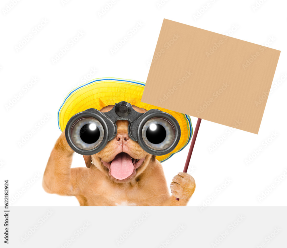 Poster happy mastiff puppy wearing summer hat looks through binoculars above empty white banner and shows e
