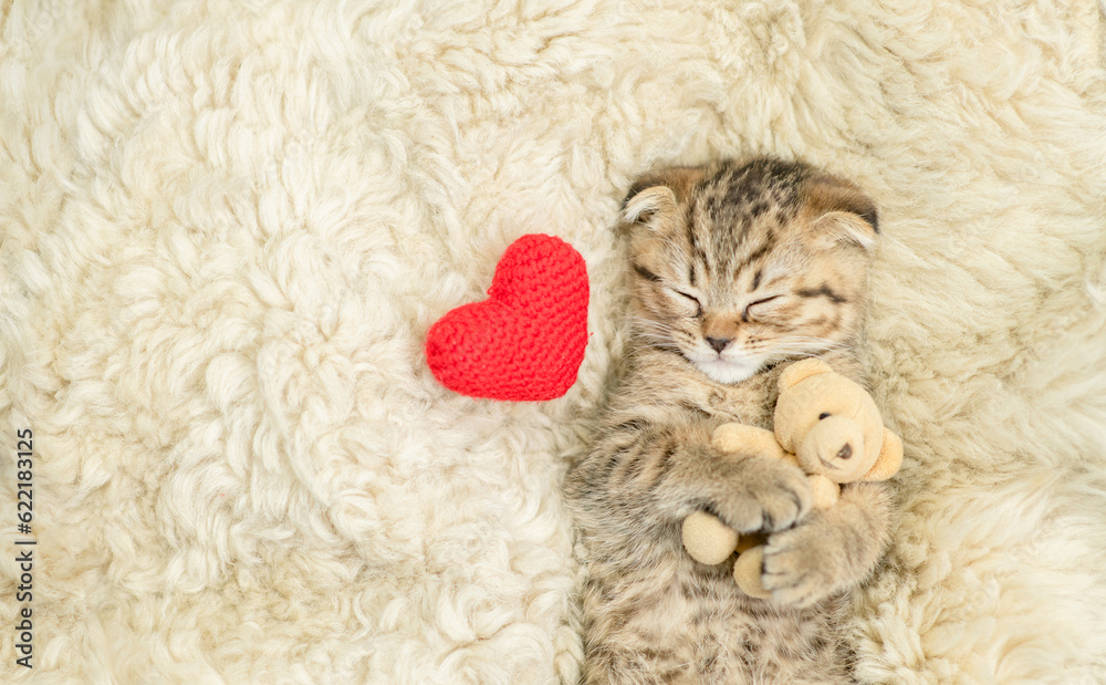 Aufkleber Cozy tiny fold tabby kitten sleeps with favorite toy bear and red heart on a bed at home. Top down view. Empty space for text