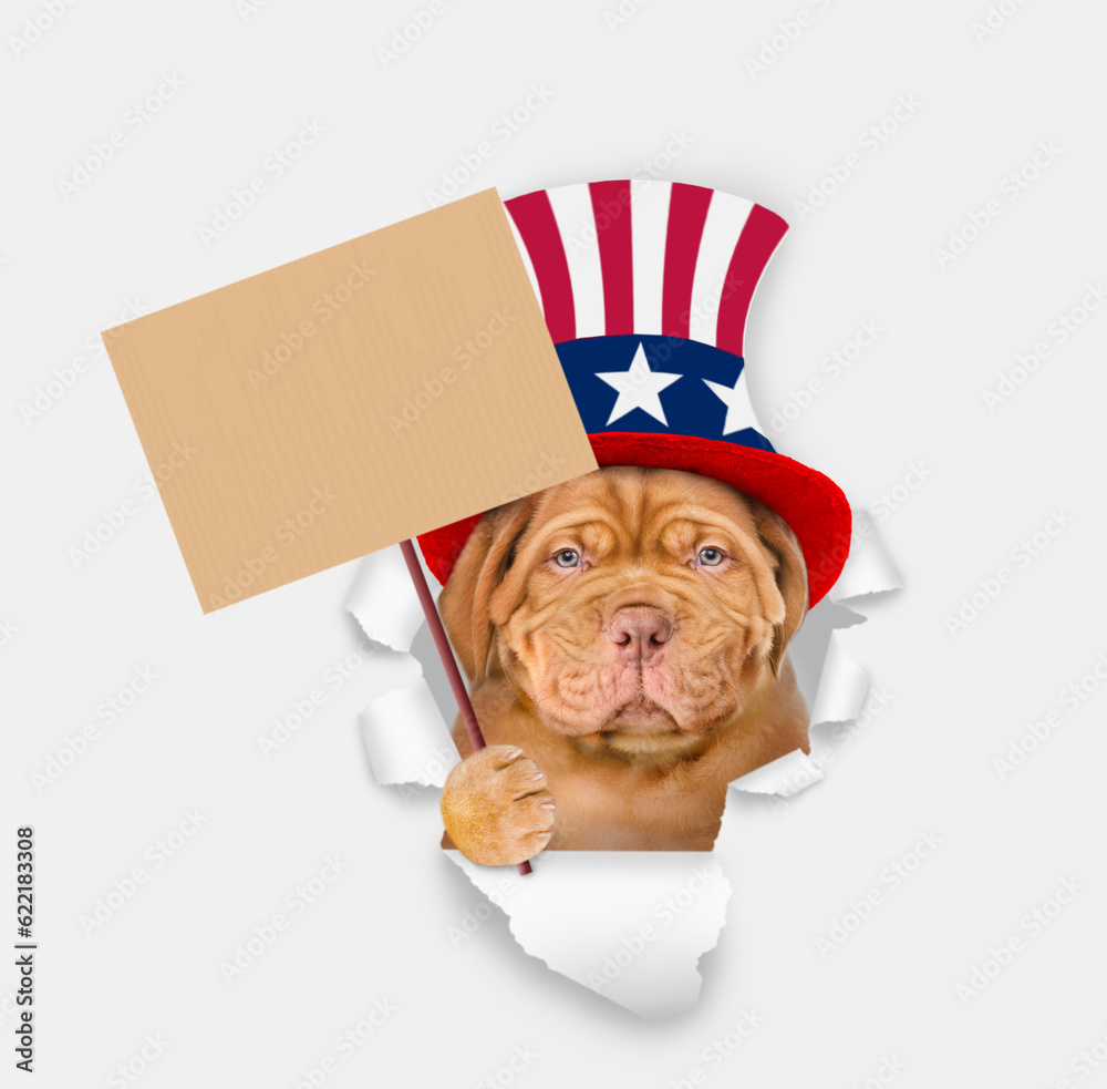 Poster serious mastiff puppy wearing like uncle sam looking through a hole in paper and shows empty placard