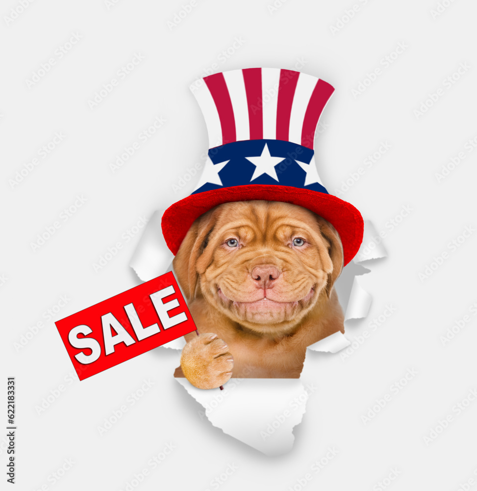 Poster happy mastiff puppy wearing like uncle sam looking through a hole in paper and shows signboard with 