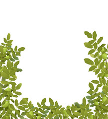 Tree Walnut with ripe fruits. Branches in form of frame. Garden plant with edible harvest. Branch with foliage and leaves. Isolated on white background. Vector