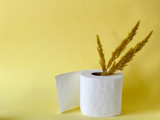 A roll of toilet paper and dried flower twigs on a yellow background