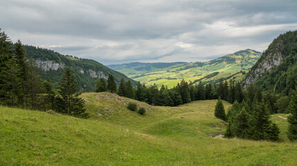 Obraz premium Beautiful summer landscape in the Appenzeller Land during a hike towards Seealpsee in Switzerland. green meadows in the foreground, mountains and forest in the background. Copy space.