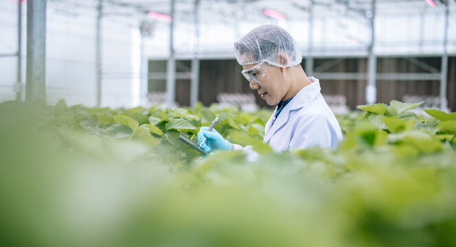 The farm owner efficiently scans, examines, and analyzes all aspects of the agricultural infrastructure, documenting routine maintenance, conditions, and expert reports, ensuring quality and safety.