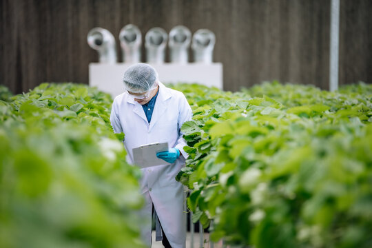 The farm owner efficiently scans, examines, and analyzes all aspects of the agricultural infrastructure, documenting routine maintenance, conditions, and expert reports, ensuring quality and safety.