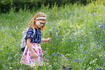 Little Preschool Girl in Field with Different Flowers. Happy Child Picking Flower with Different...