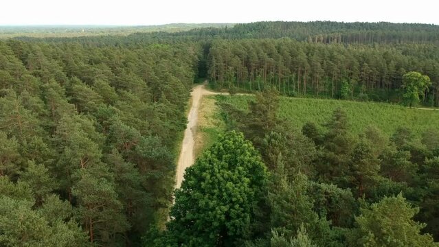 Aerial Drone View Of Long Pathway In Bracknell Forest