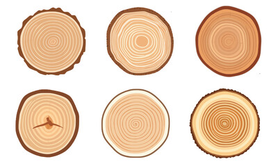Tree trunk wood rings. Wooden elements with tree rings. wood slice cut collection