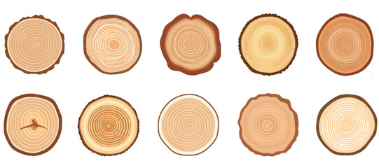 Tree trunk cross section set. Tree rings, tree trunk rings isolated, wood ring circle texture collection. - obrazy, fototapety, plakaty