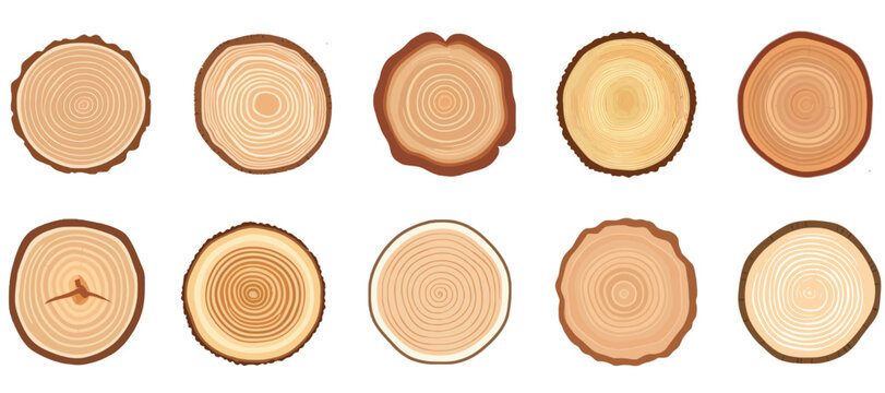 Tree trunk cross section set. Tree rings, tree trunk rings isolated, wood ring circle texture collection.