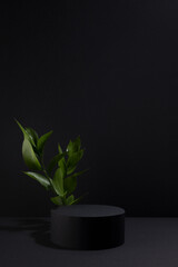 Black abstract stage with one circle podium mockup, fresh tropical green leaves, template for...