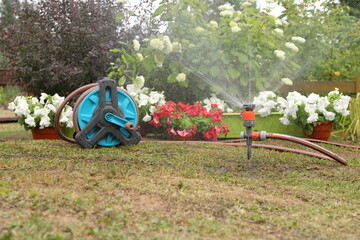 Watering flowers and plants in summer garden by the hose reel and sprinkler.