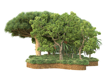 Tropical landscape isolated on transparent background. 3d rendering - illustration