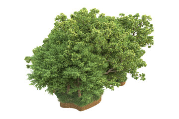 Obraz premium Tropical forest isolated on transparent background. 3d rendering - illustration