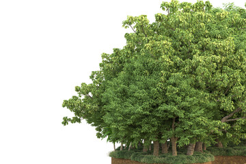 Fototapeta premium Tropical forest isolated on transparent background. 3d rendering - illustration
