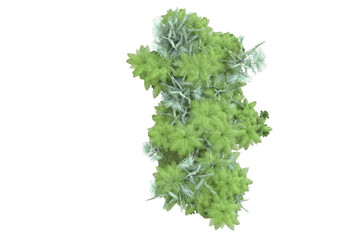 Tropical landscape isolated on transparent background. 3d rendering - illustration