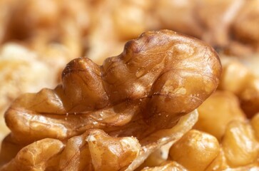Macro of Dry Walnut Isolated of Walnut Piles in Horizontal Orientation