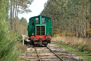 Obraz premium Train touristique des Landes; Eco musée de Marquéze; Parc naturel des Landes de Gascogne; Région Aquitaine; Sabres; 40, France