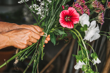 junge Frau, Gärtnerin, Floristin bindet Blumen im Blumengarten, im Blumenbeet. Schönes Licht am...