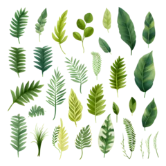 Behang Tropische bladeren Set of tropical vector leaves. Variety. Ornamental plants. White background ,Generative AI