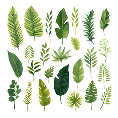 Set of tropical vector leaves. Variety. Ornamental plants. White background ,Generative AI