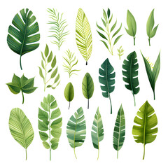 Set of tropical vector leaves. Variety. Ornamental plants. White background ,Generative AI