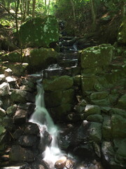 小さな渓谷を流れる清流
