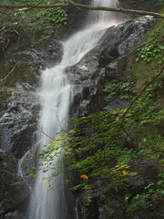 小さな渓谷を流れる清流の滝
