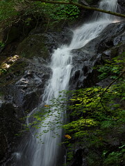 小さな渓谷を流れる清流の滝

