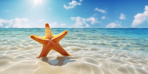 Fototapeta na wymiar starfish on summer sunny beach at ocean background. travel, vacation concepts