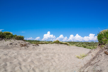 Rome, Lazio, Italy, 5th of July 2023, A landscape of Ostia beach in Rome with fine sands.