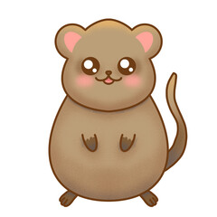 Cute Quokka Illustration