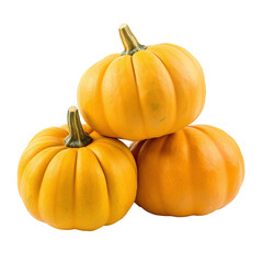 pumpkin isolated on white
