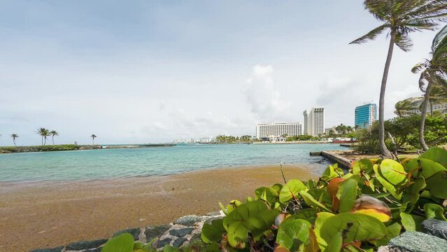 Tourists snorkel in protected bay Escambron beach, San Juan, Puerto Rico, USA - Timelapse