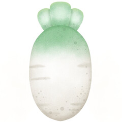 A cartoon radish. Hand drawn with watercolor. Use as an illustration.