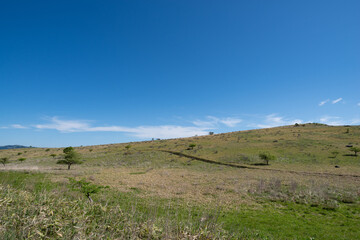 Obraz premium 霧ヶ峰高原