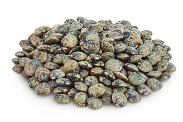 raw french green lentils isolated on white background with full depth of field