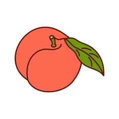 Hand-drawn peach on a transparent background. Isolated vector illustration of apricot or nectarine