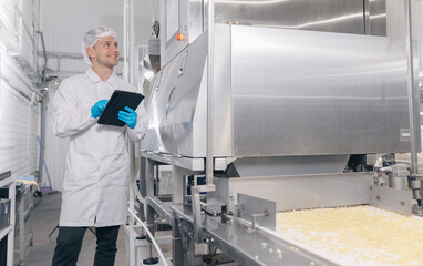 Worker man control quality product on automatic conveyor belt for transporting cedar nuts. Concept modern food industry, factory production line