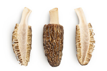 raw morel mushroom isolated on white background with full depth of field. Top view. Flat lay. - obrazy, fototapety, plakaty