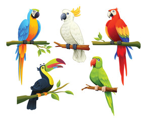 Set of tropical birds vector cartoon illustration - obrazy, fototapety, plakaty